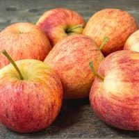 Millefeuilles aux pommes gala, crème diplomate, jus crémé caramel, glace vanille