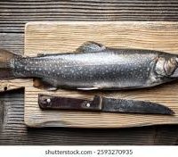 L’omble chevalier cuit à basse température, ragoût de lentilles, fondue d’oignons et crème de poisson à la chartreuse