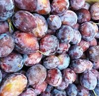 La prune Amaretto : Mirliton amandes, prunes justes cuites, chantilly amaretto et son coulis