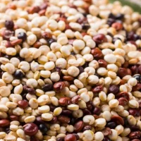 Le taboulet de quinoa aux légumes d’automne, noisettes grillées et sésame